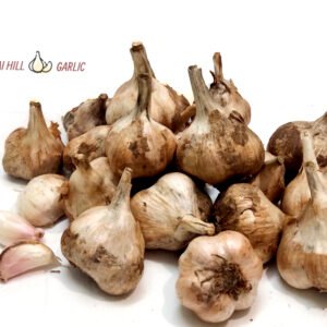 Kodaikanal Hills Garlic Big Size