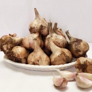 KODAI HILL GARLIC/MALAI POONDU - MEDIUM SIZE