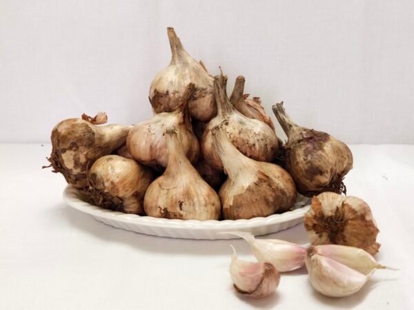 KODAI HILL GARLIC/MALAI POONDU - MEDIUM SIZE