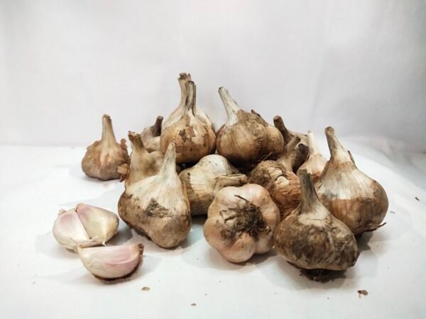 KODAI HILL GARLIC/MALAI POONDU - MEDIUM SIZE - Image 3